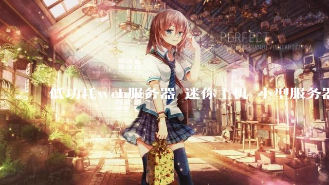 低功耗web服务器 迷你主机 小型服务器 求推荐？