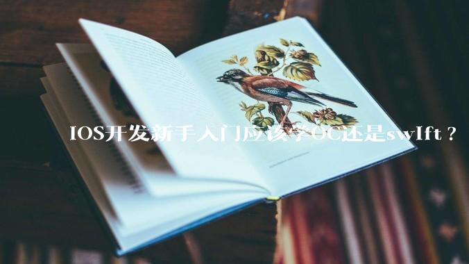 iOS开发新手入门应该学OC还是swift?